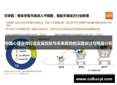 中国心理咨询行业发展现状与未来趋势的深度探讨与挑战分析