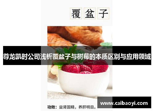 尊龙凯时公司浅析覆盆子与树莓的本质区别与应用领域