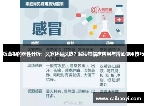 板蓝根的药性分析：风寒还是风热？解读其临床应用与辨证使用技巧