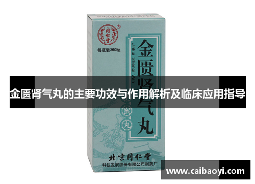 金匮肾气丸的主要功效与作用解析及临床应用指导