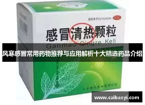风寒感冒常用药物推荐与应用解析十大精选药品介绍