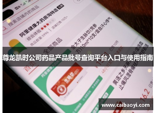 尊龙凯时公司药品产品批号查询平台入口与使用指南